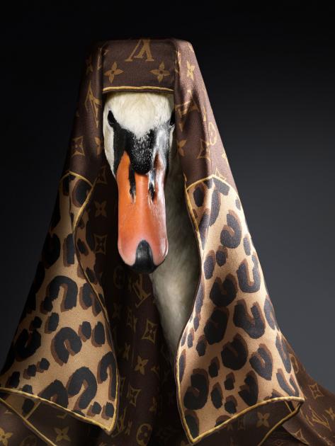 Armin Zogbaum Fashion Accessories Louis Vuitton Swan