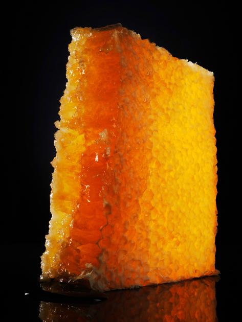 Armin Zogbaum Luxurious Sweets Honeycomb