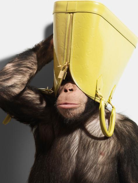 Armin Zogbaum Fashion Accessories Louis Vuitton Chimp