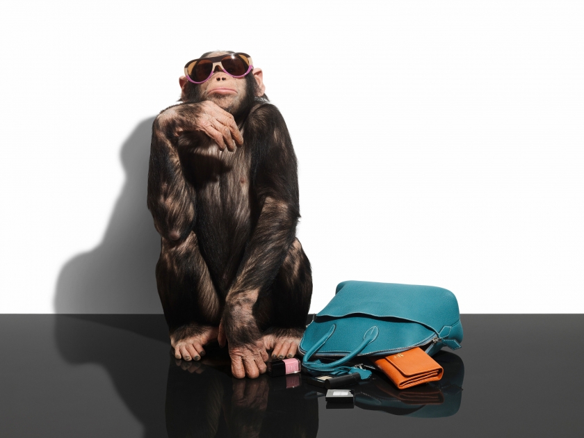 Armin Zogbaum Fashion Accessories Louis Vuitton Chimp