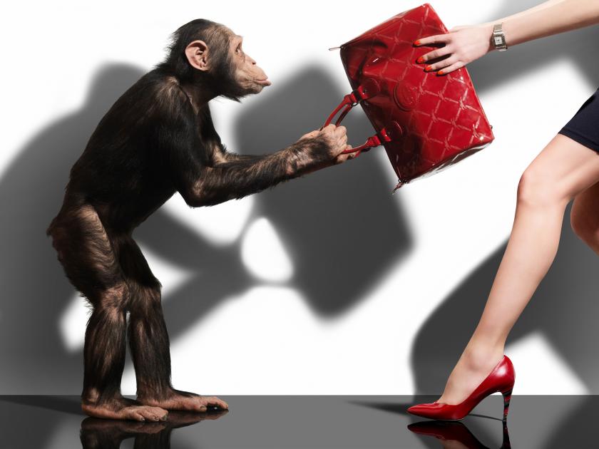 Armin Zogbaum Fashion Accessories Louis Vuitton Chimp Legs
