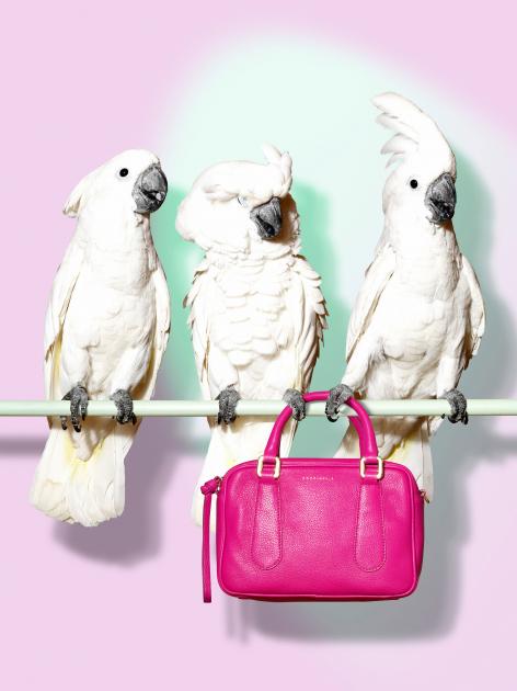Armin Zogbaum Fashion Accessories Cocoon Birds Bag