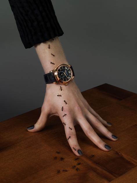 Armin Zogbaum Jewelry Watch Ants