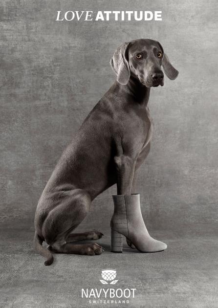 Armin Zogbaum Fashion Accessories NavyBoot Dog