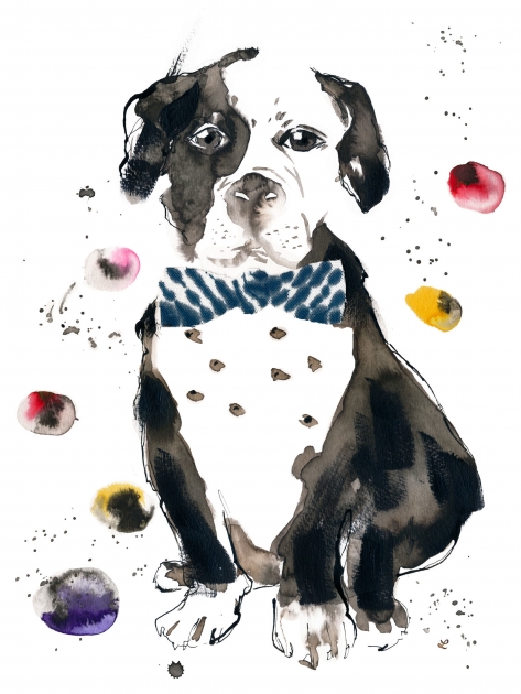 Lily Qian Illustrator NYC Lifestyle Dog drawing