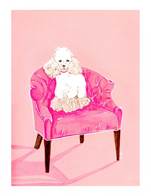 Lily Qian Illustrator NYC dog drawing color drawing
