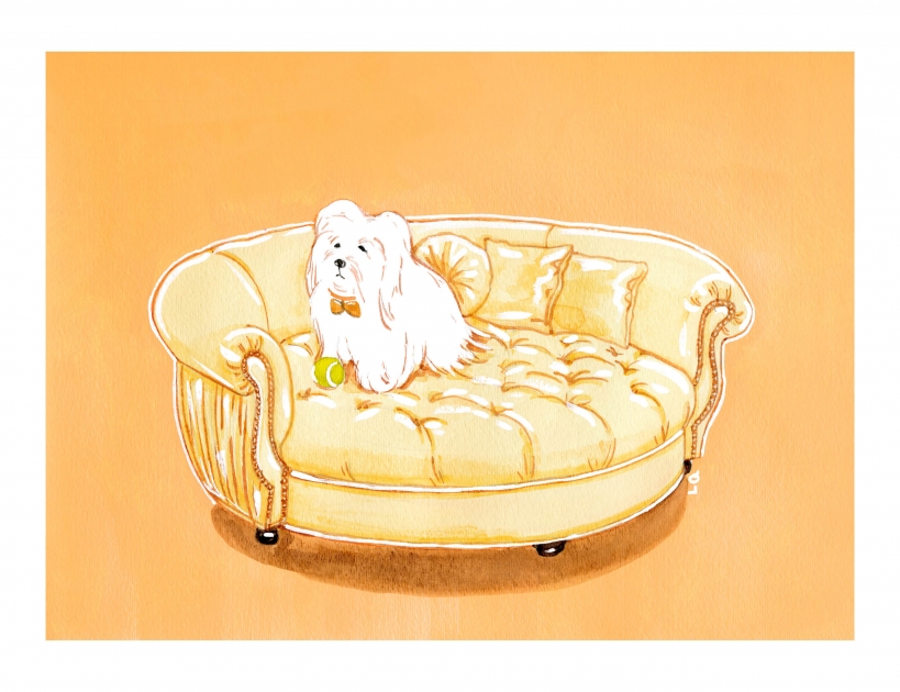 Lily Qian Illustrator NYC dog drawing color drawing