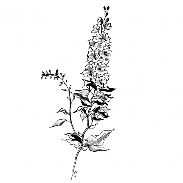 Lily Qian Illustrator NYC Net-a-Porter invitation flower drawing
