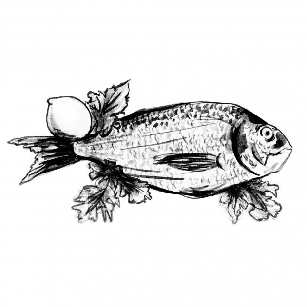 Lily Qian Illustrator NYC Net-a-Porter invitation branzino drawing