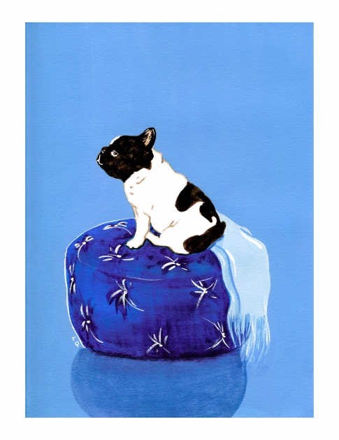 Lily Qian Illustrator NYC dog drawing color drawing
