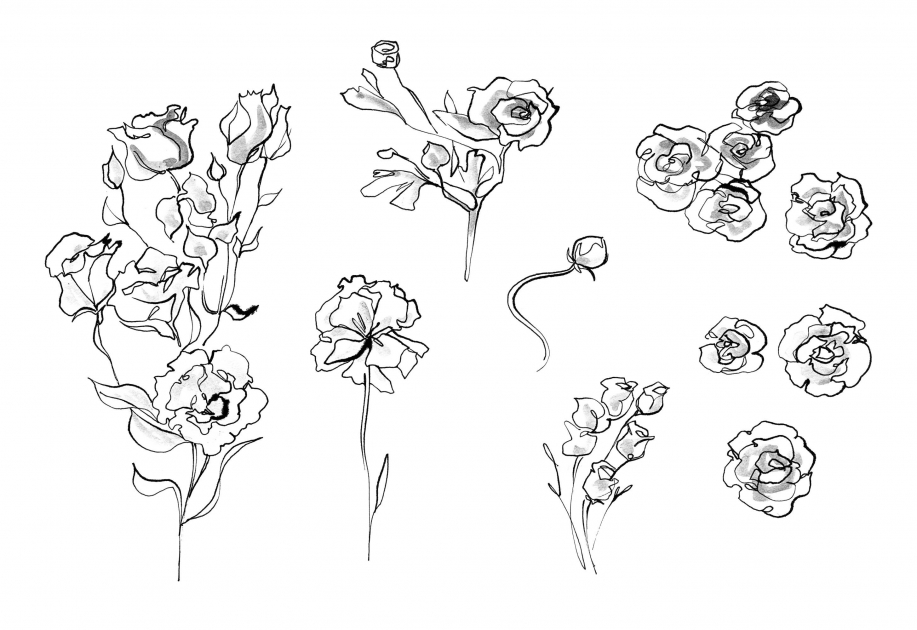 Lily Qian Illustrator NYC Net-a-Porter invitation flower pencil drawing