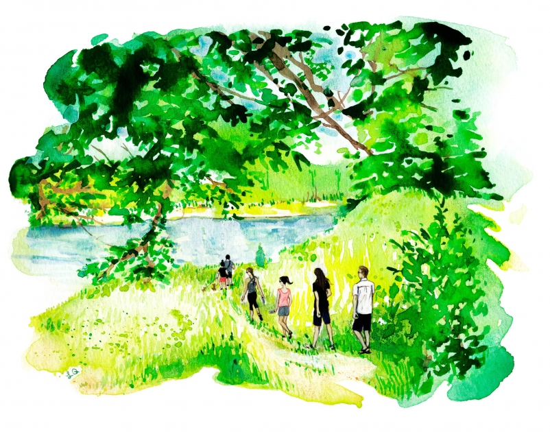 Lily Qian Illustrator NYC Travel Forest Lifestyle drawing 