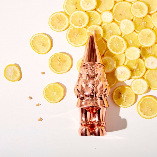 Henry Hargreaves Commission Gnome Lemons Flatlay