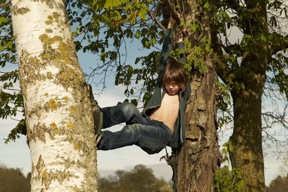 Sven Jacobsen Lifestyle Photographer Boy Tree Kids