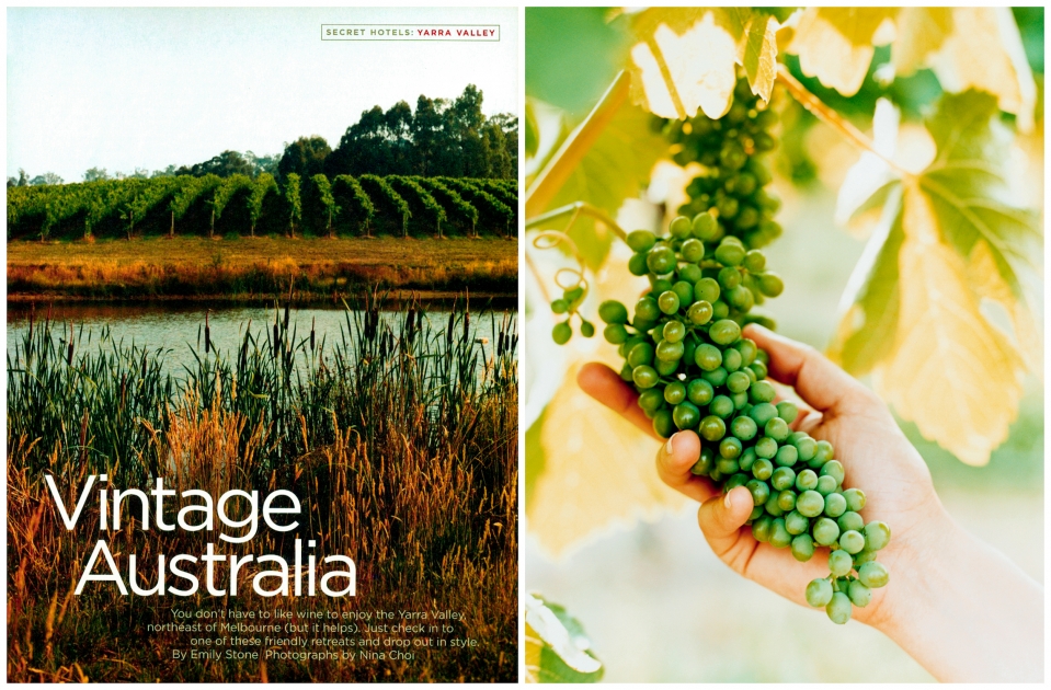 Photographer Nina Choi Food Vintage Australia Grapes