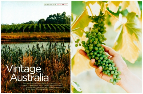 Photographer Nina Choi Food Vintage Australia Grapes