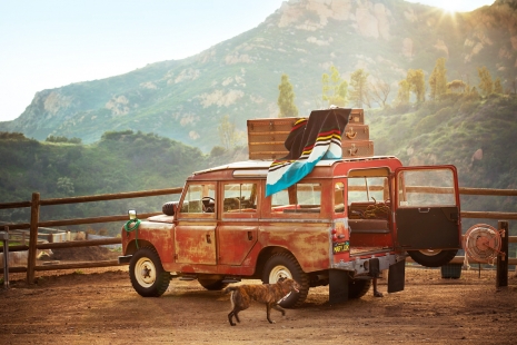 Photographer New York Nina Choi Dogs Landrover Jeep Car Lifestyle