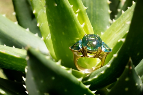 Jewelry Photographer Nina Choi Jewelry Closeup Ring Aloe Vera